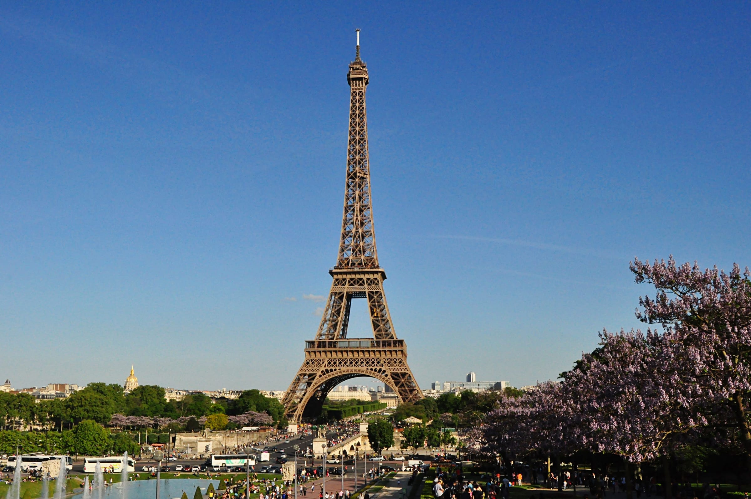 The Eiffel Tower under a clear blue sky, with blossoming trees in the foreground
