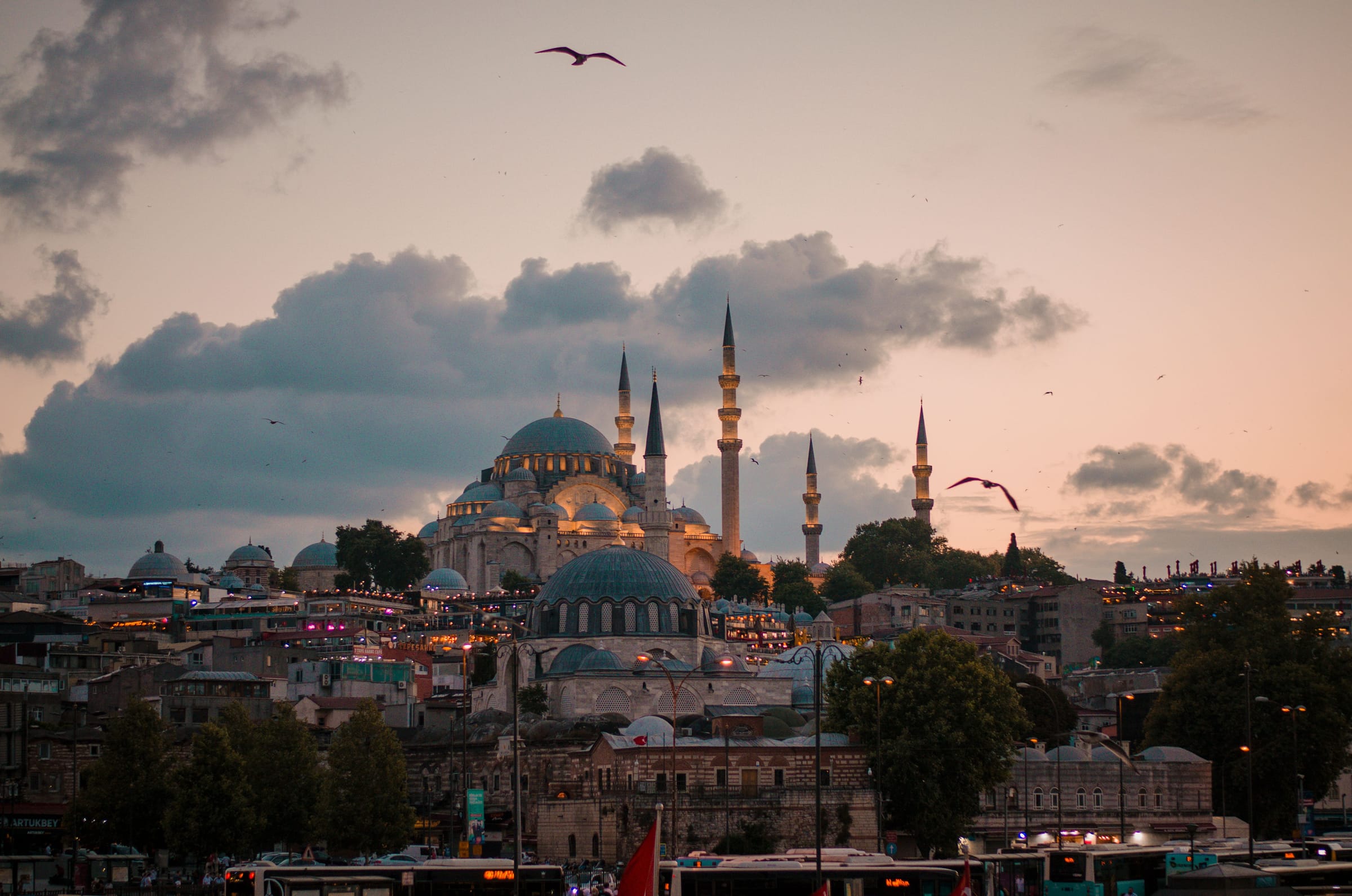 The domes and minarets of the Süleymaniye Mosque over Istanbul at dusk, gulls in the sky